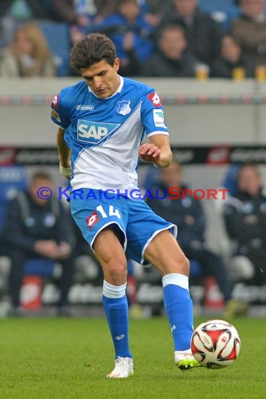 1.BL - 14/15 - TSG 1899 Hoffenheim vs Hamburger SV  (© Fotostand / Loerz)